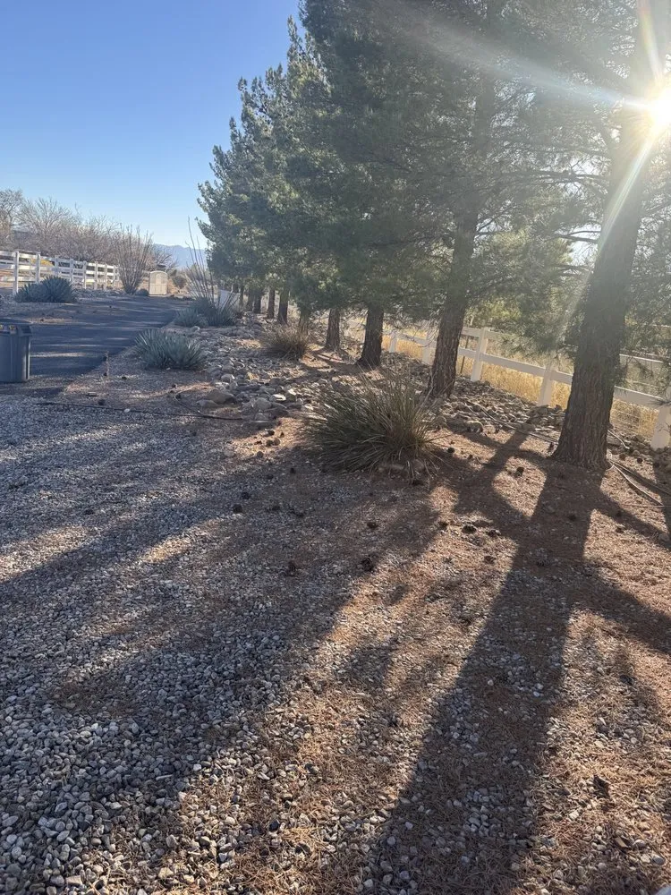 Top-rated outdoor landscaping in Sierra Vista, AZ - Noriega Lawn Care