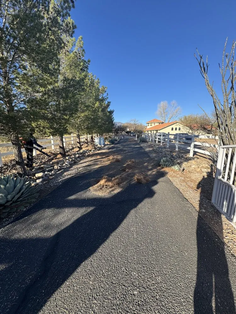 Professional lawn care service in Sierra Vista, AZ - Noriega Lawn Care