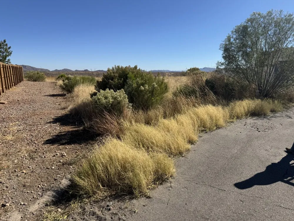 Top-rated yard maintenance in Sierra Vista, AZ - Noriega Lawn Care