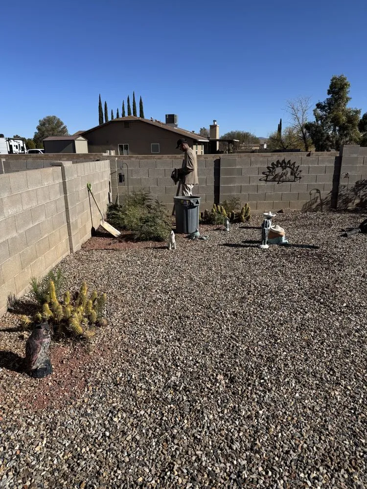 Affordable lawn care service in Sierra Vista, AZ by Noriega Lawn Care