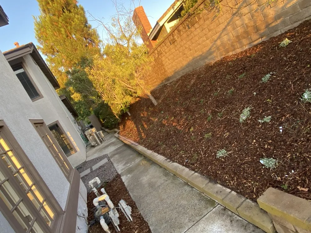 Top-rated outdoor landscaping near you in Tustin, CA by Noriega’s Landscapes