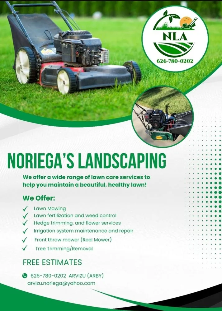 Professional yard cleanup service in Tustin, CA by Noriega’s Landscapes