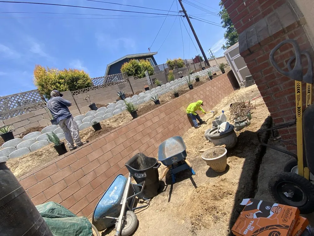 Professional landscape installation for beautiful yards across Tustin, CA - Noriega’s Landscapes