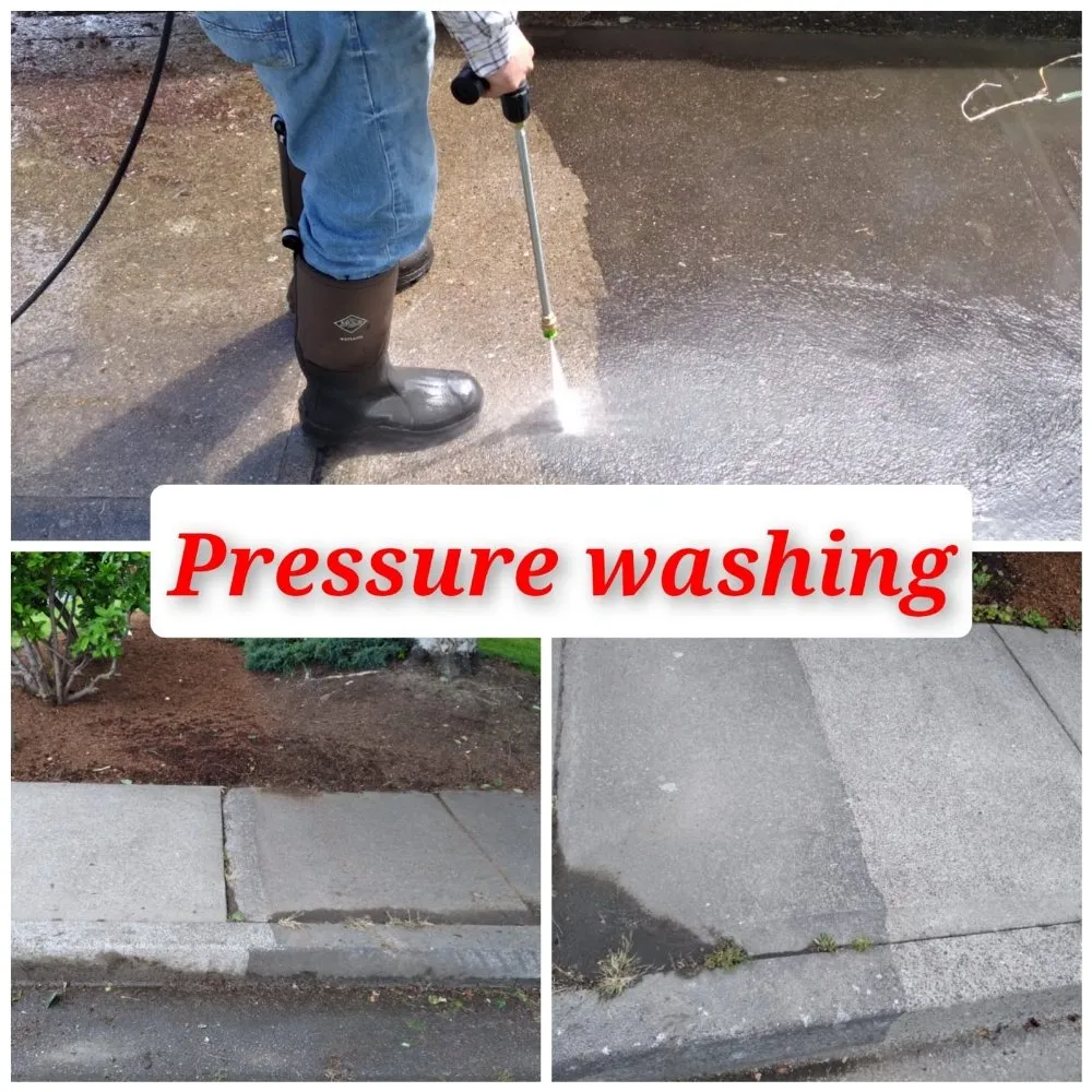 Local lawn care service experts serving Salem, OR - Noriega's Landscaping