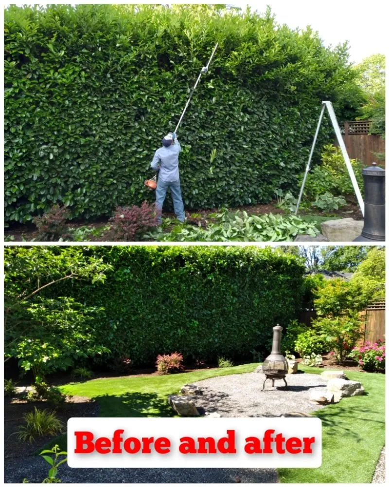 Professional landscaping services in Salem, OR by Noriega's Landscaping