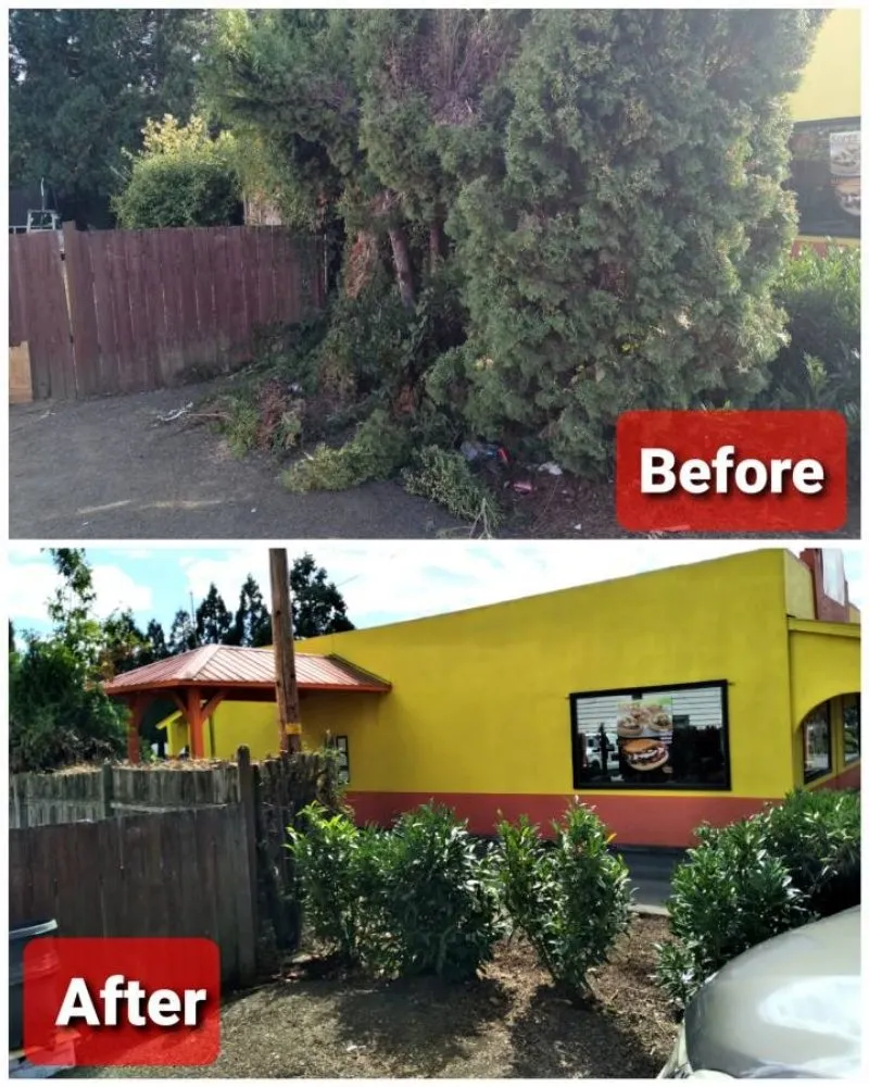 Local yard cleanup service with custom design across Salem, OR - Noriega's Landscaping