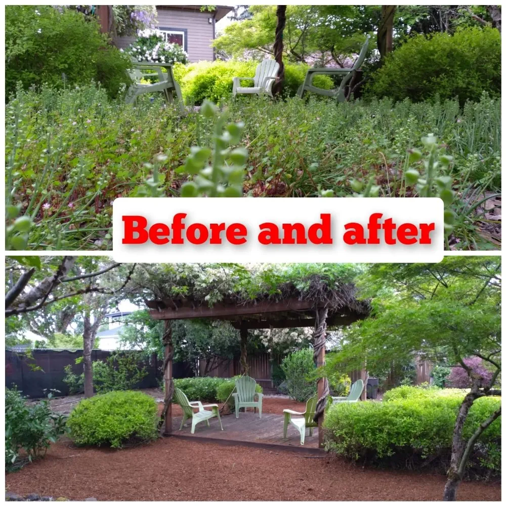 Expert lawn care service for year-round maintenance across Salem, OR - Noriega's Landscaping