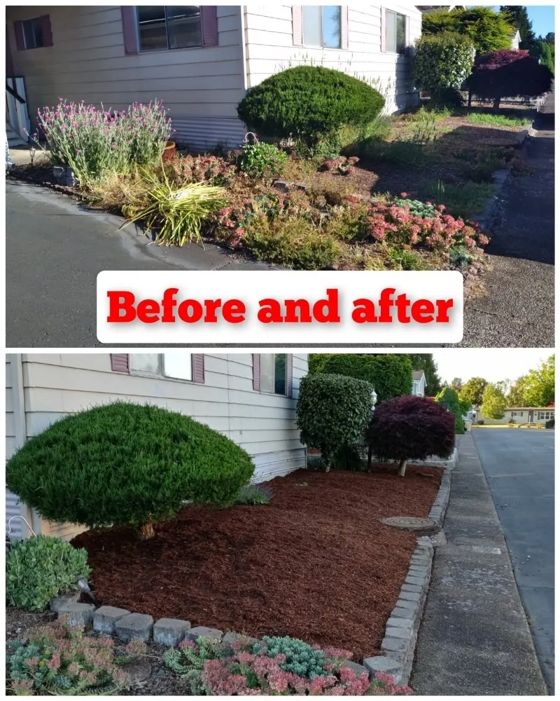 Professional outdoor landscaping for outdoor upgrades in Salem, OR by Noriega's Landscaping