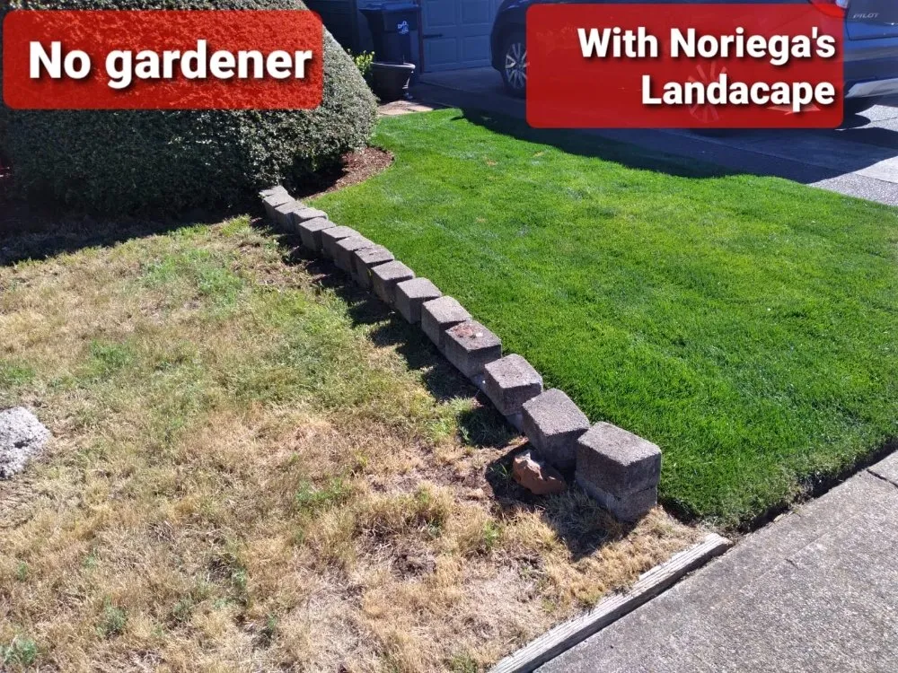 Reliable residential landscaping in Salem, OR - Noriega's Landscaping