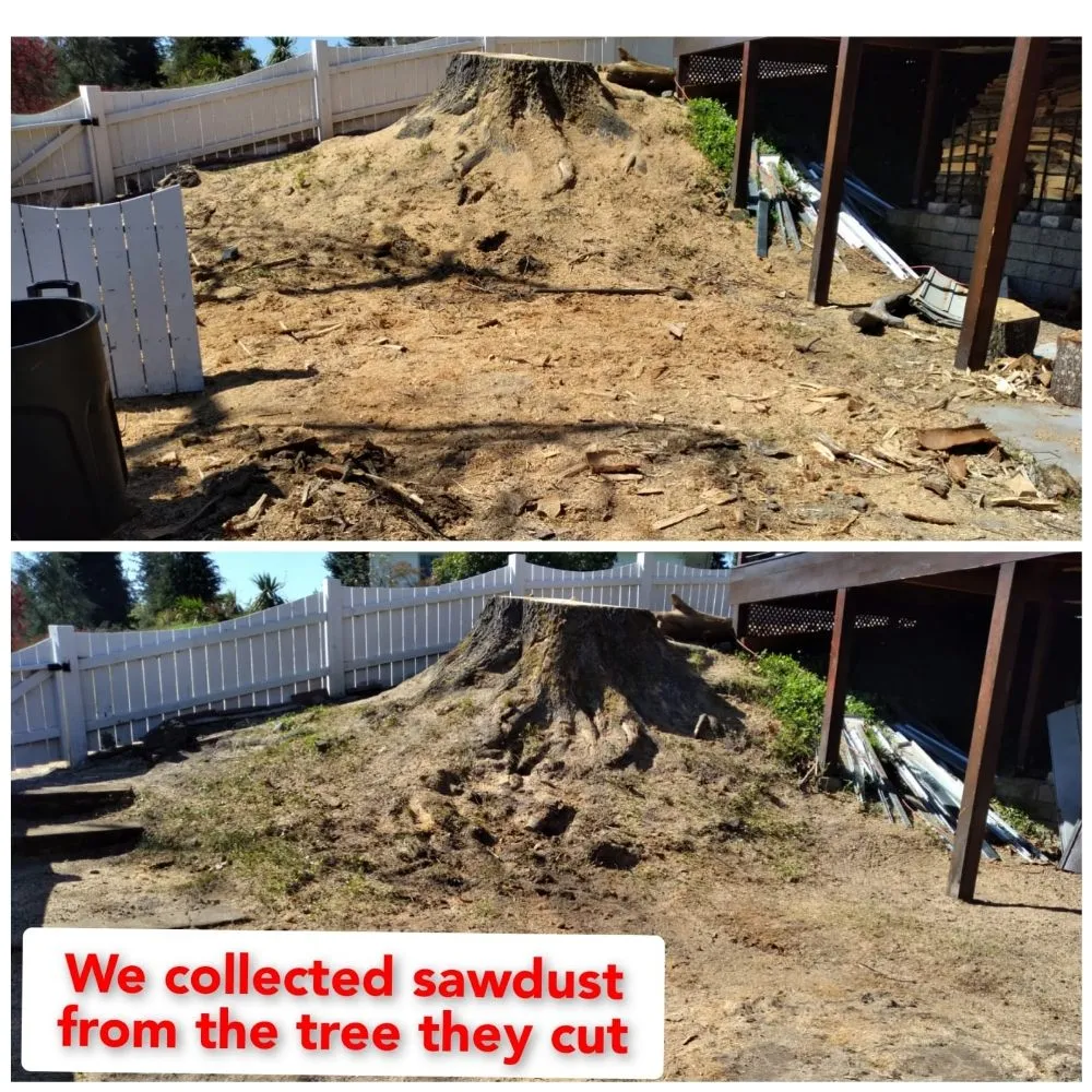 Expert lawn mowing service experts serving Salem, OR - Noriega's Landscaping