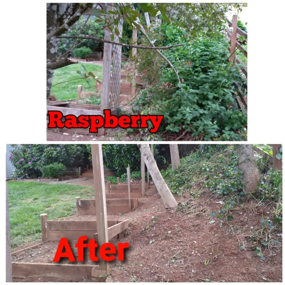 Reliable garden landscaping with custom design in Salem, OR by Noriega's Landscaping