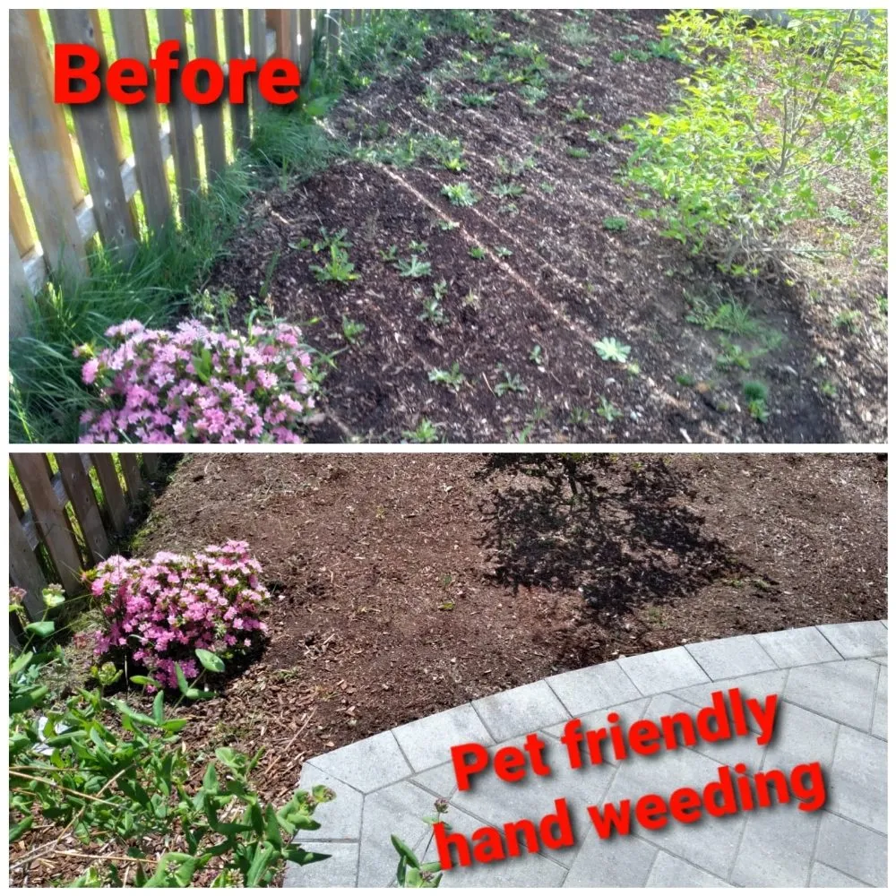 Trusted outdoor landscaping in Salem, OR by Noriega's Landscaping