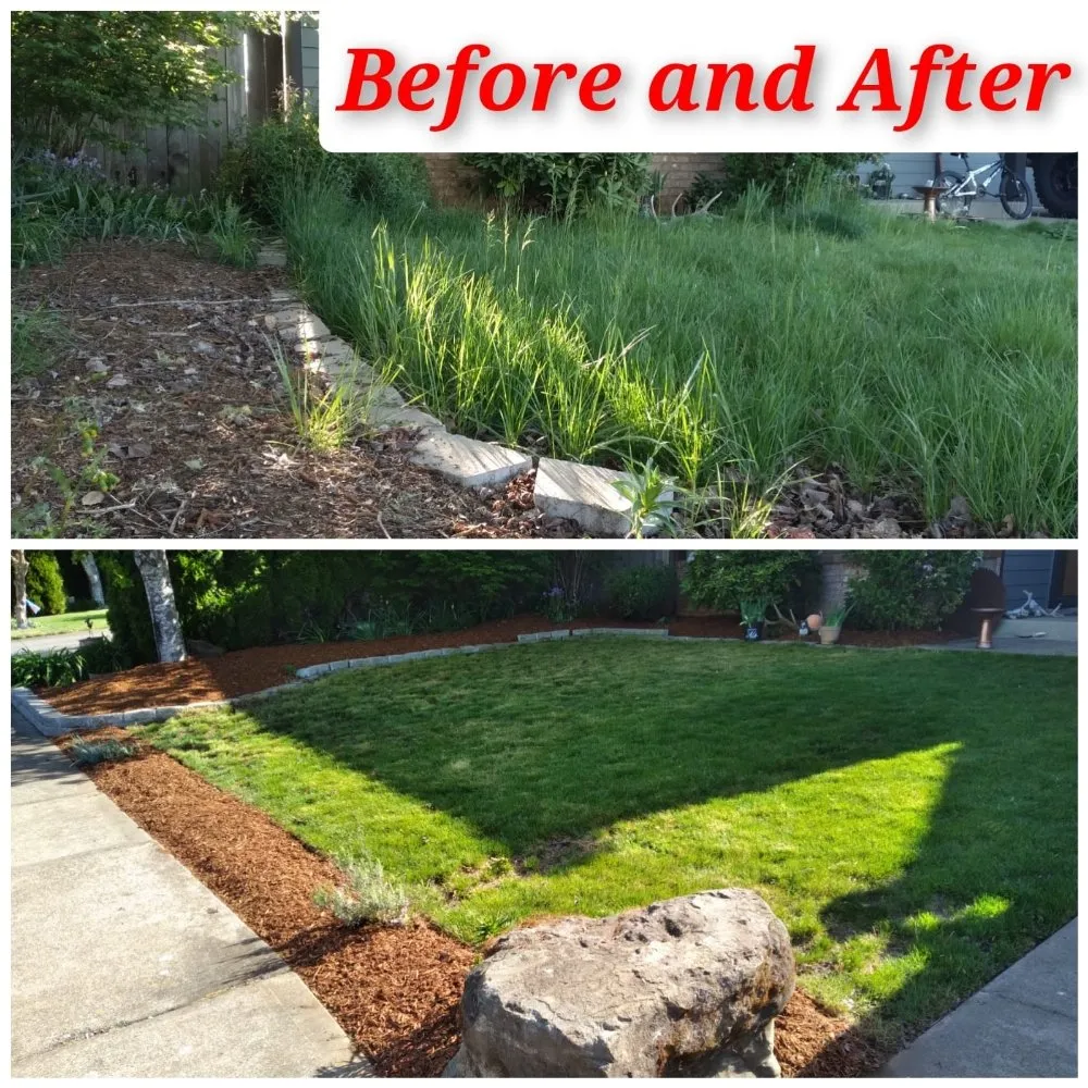 Top-rated landscaping services in Salem, OR - Noriega's Landscaping