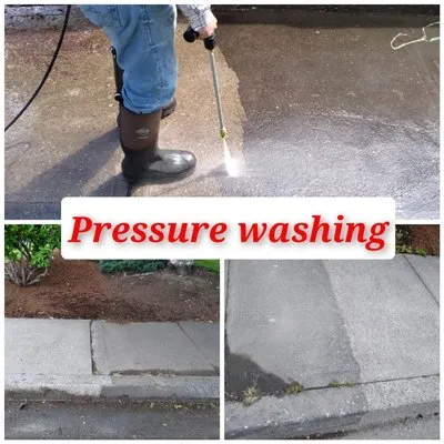 Noriega's Landscaping Logo