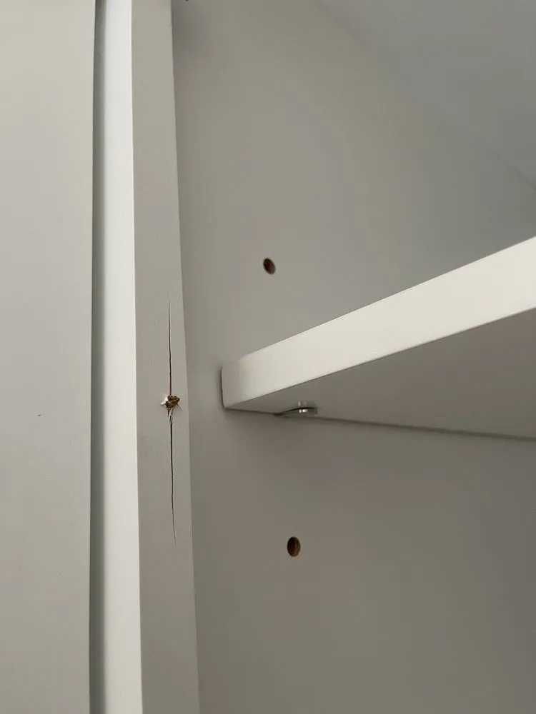 Expert lawn mowing service for homes across West Orange, NJ - Norkia Home Improvements