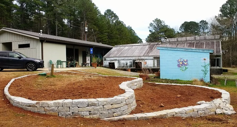 Professional yard cleanup service in Athens, GA by Normal Landscape & Stone