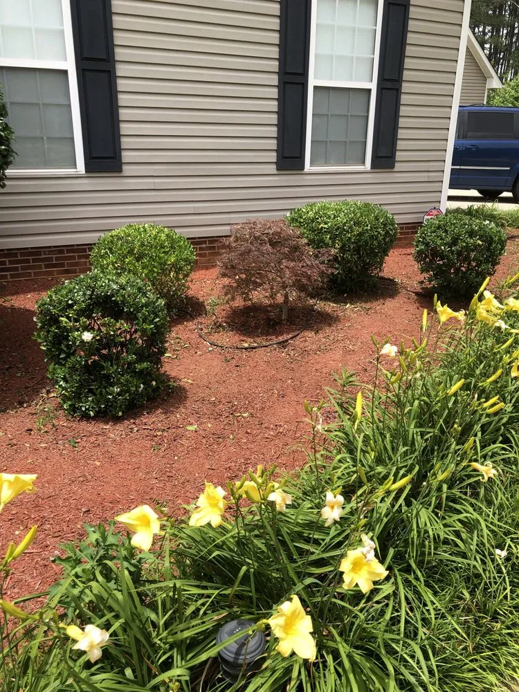 Professional lawn care service for beautiful yards across Winterville, GA - Norman & Sons Landscaping