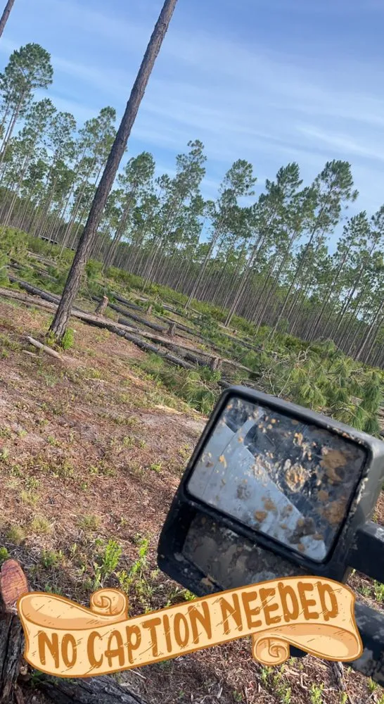 Top-rated landscape installation for outdoor upgrades in Macclenny, FL by Norman Grading and Site Prep