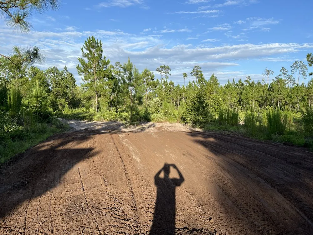 Reliable lawn care service for residential properties across Macclenny, FL - Norman Grading and Site Prep