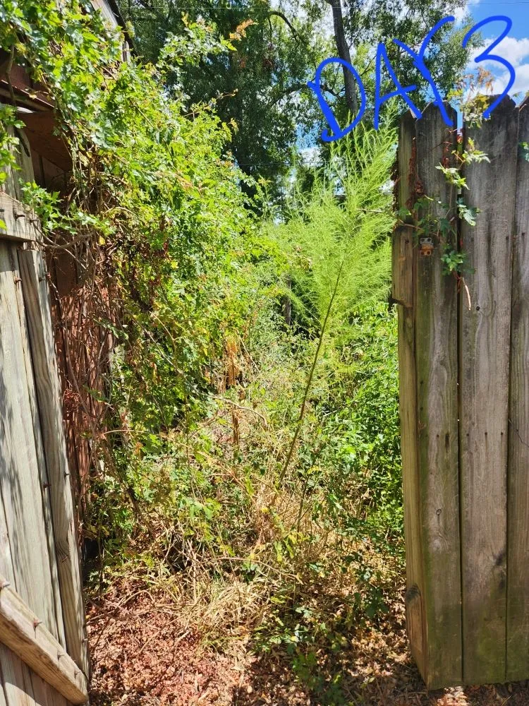 Expert yard cleanup service in Magnolia, TX - Norman Helping Hands