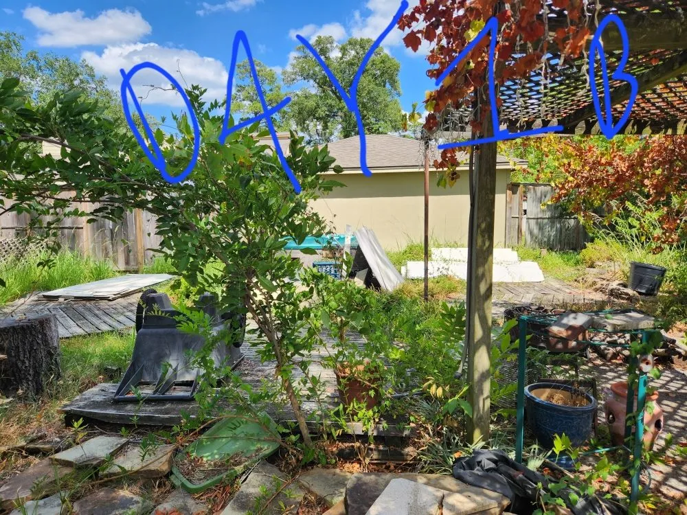 Local yard cleanup service in Magnolia, TX by Norman Helping Hands