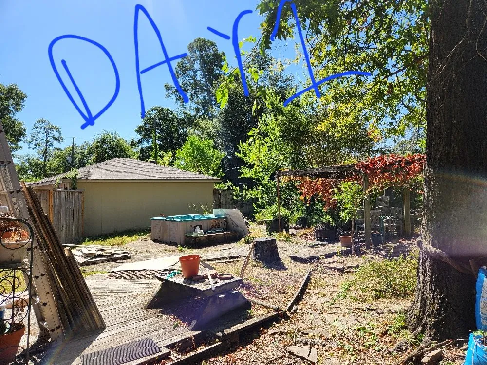 Professional yard cleanup service in Magnolia, TX by Norman Helping Hands