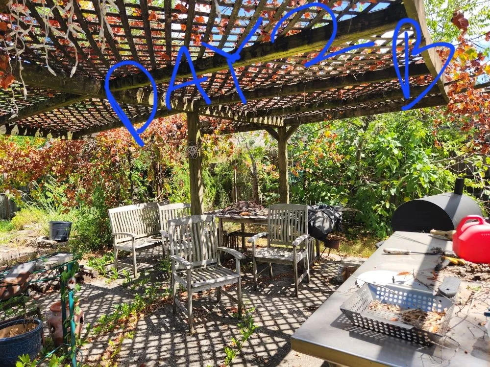 Reliable landscaping services in Magnolia, TX by Norman Helping Hands