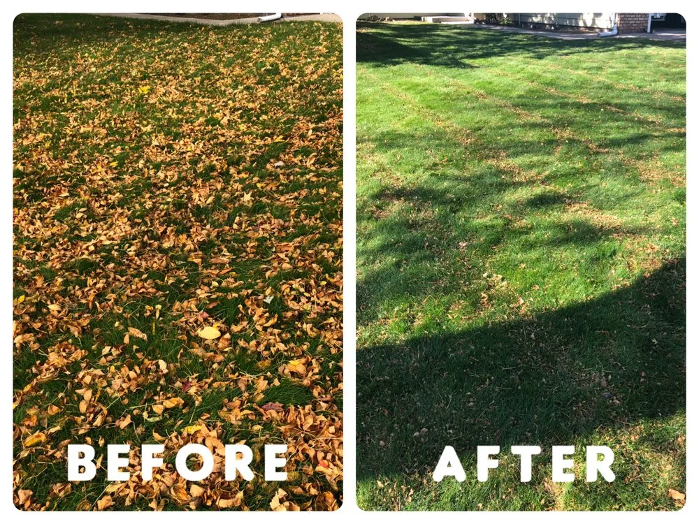 Trusted outdoor landscaping for beautiful yards across Minneapolis, MN - Normand Property Services