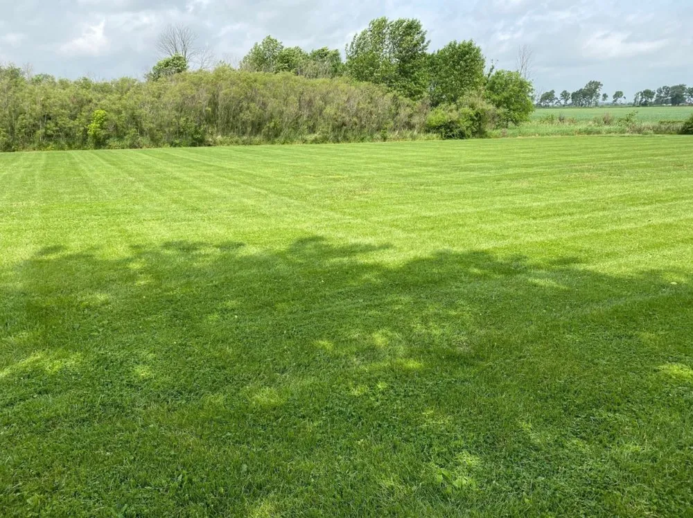 Professional yard cleanup service for outdoor upgrades across Wilkinson, IN - Norman's Lawn Maintenance