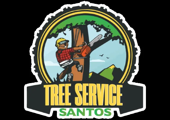 Affordable lawn care service for year-round maintenance across San Antonio, TX - Normantorr Tree Service