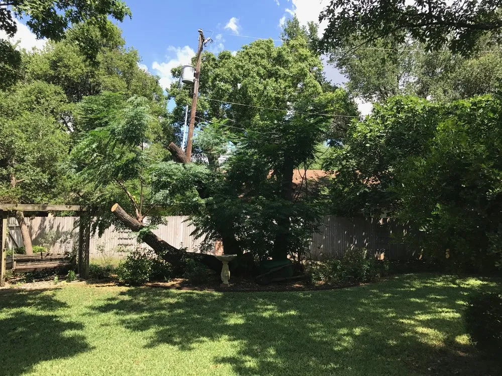 Reliable garden landscaping for beautiful yards across San Antonio, TX - Normantorr Tree Service