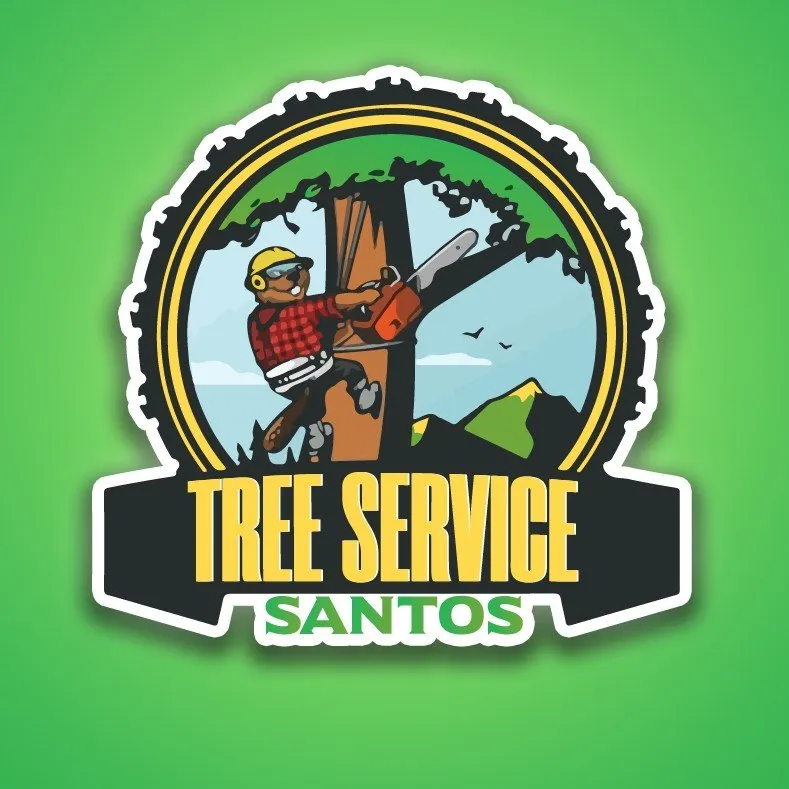 Professional lawn care service experts serving San Antonio, TX - Normantorr Tree Service