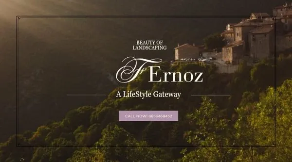 Normon D Ferguson Logo