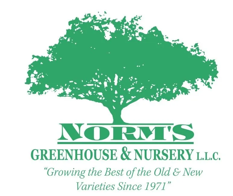 Trusted yard maintenance for beautiful yards across Aurora, SD - Norm's Greenhouse & Nursery