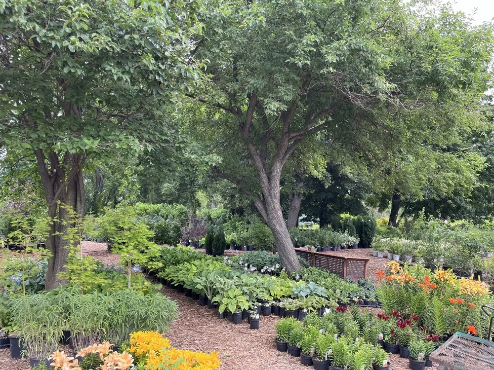 Professional landscape design experts serving Aurora, SD - Norm's Greenhouse & Nursery