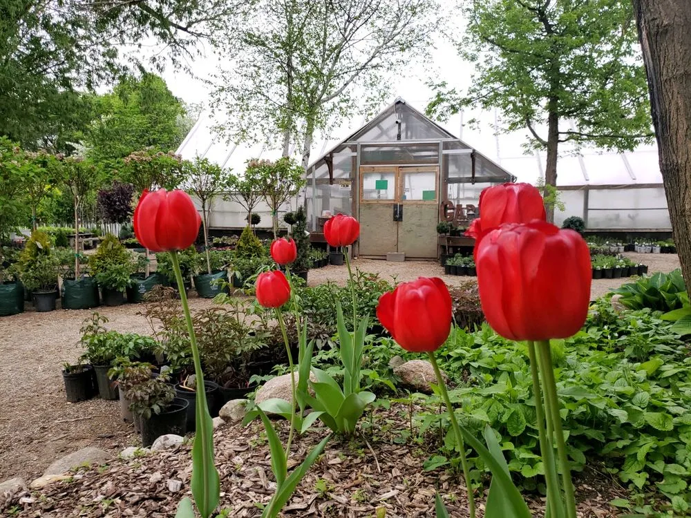 Affordable residential landscaping in Aurora, SD by Norm's Greenhouse & Nursery