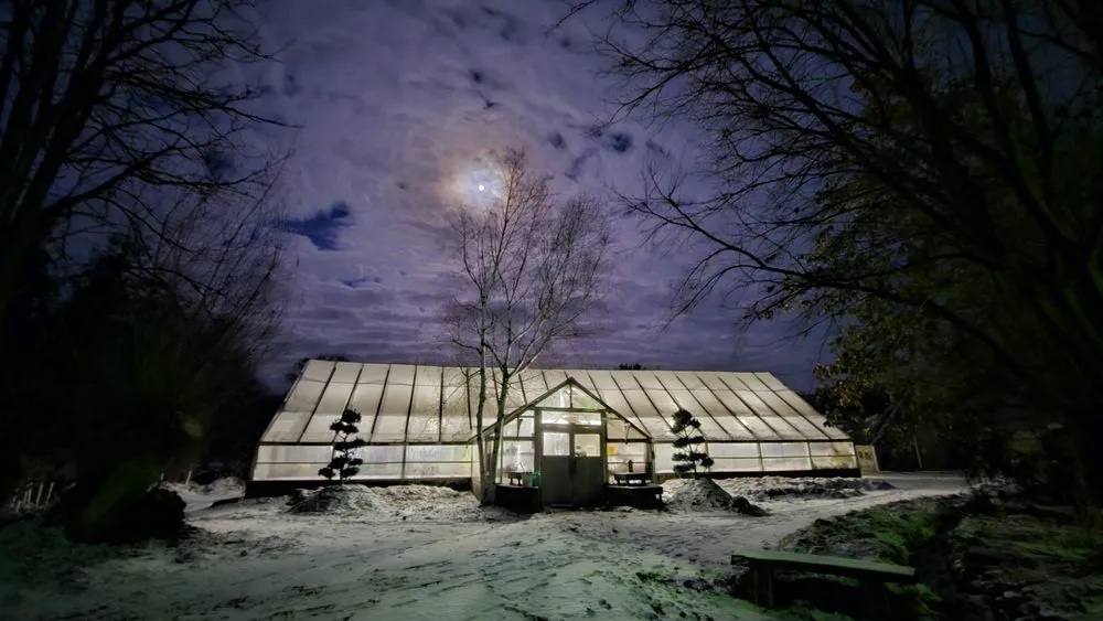 Custom residential landscaping for year-round maintenance across Aurora, SD - Norm's Greenhouse & Nursery