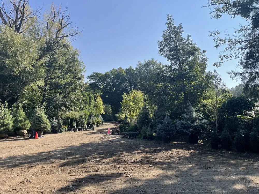 Affordable yard cleanup service experts serving Aurora, SD - Norm's Greenhouse & Nursery