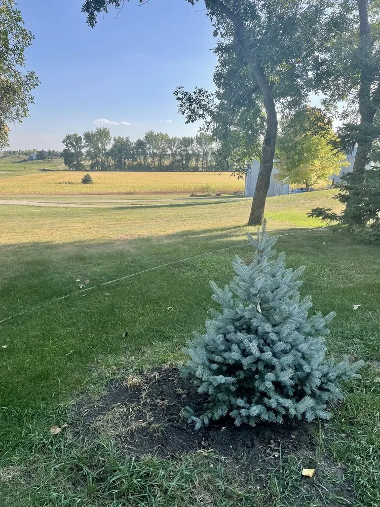 Trusted lawn mowing service in Aurora, SD by Norm's Greenhouse & Nursery