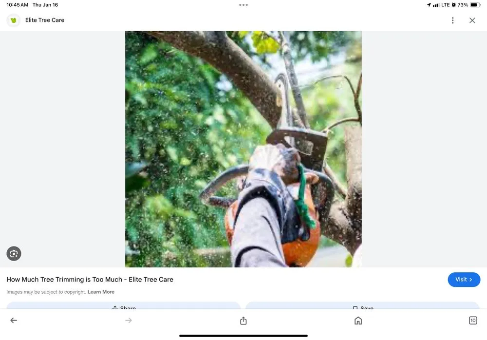 Local lawn mowing service in Dalton, GA - Norm’s Lawn Care