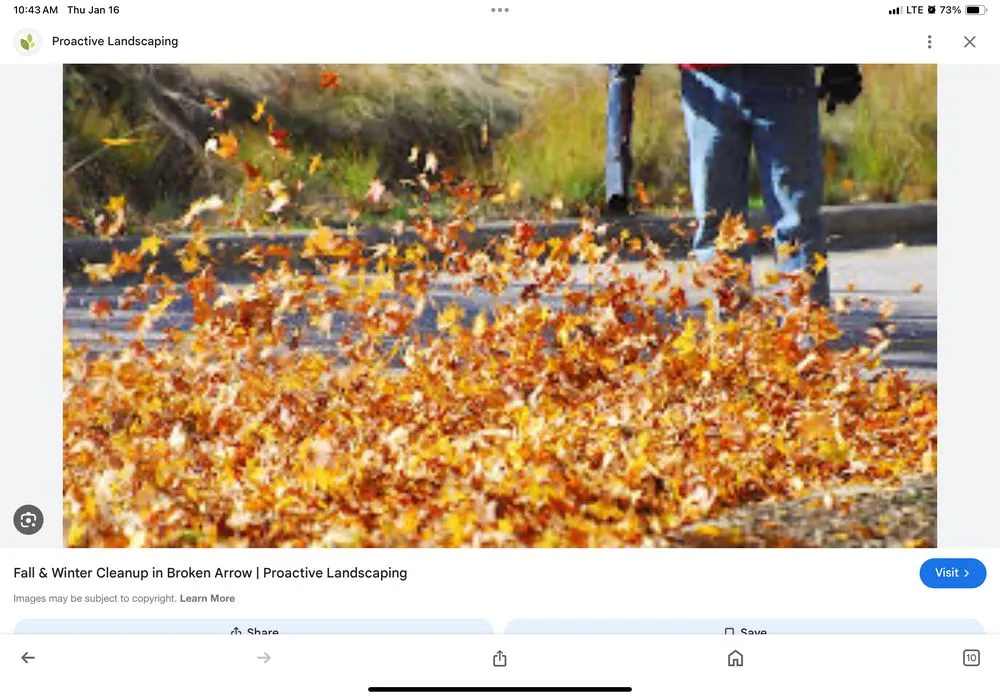 Local yard cleanup service for homes in Dalton, GA by Norm’s Lawn Care