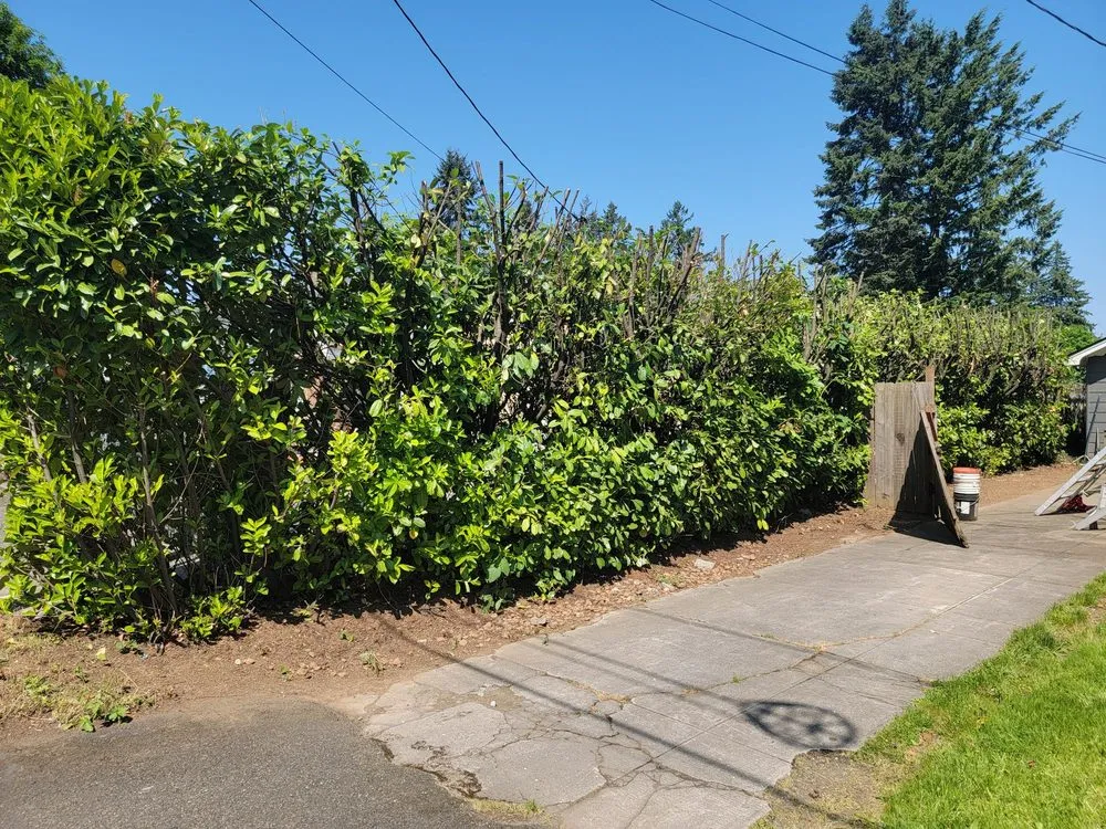 Reliable landscape installation in Portland, OR by Norms Quality Mowing