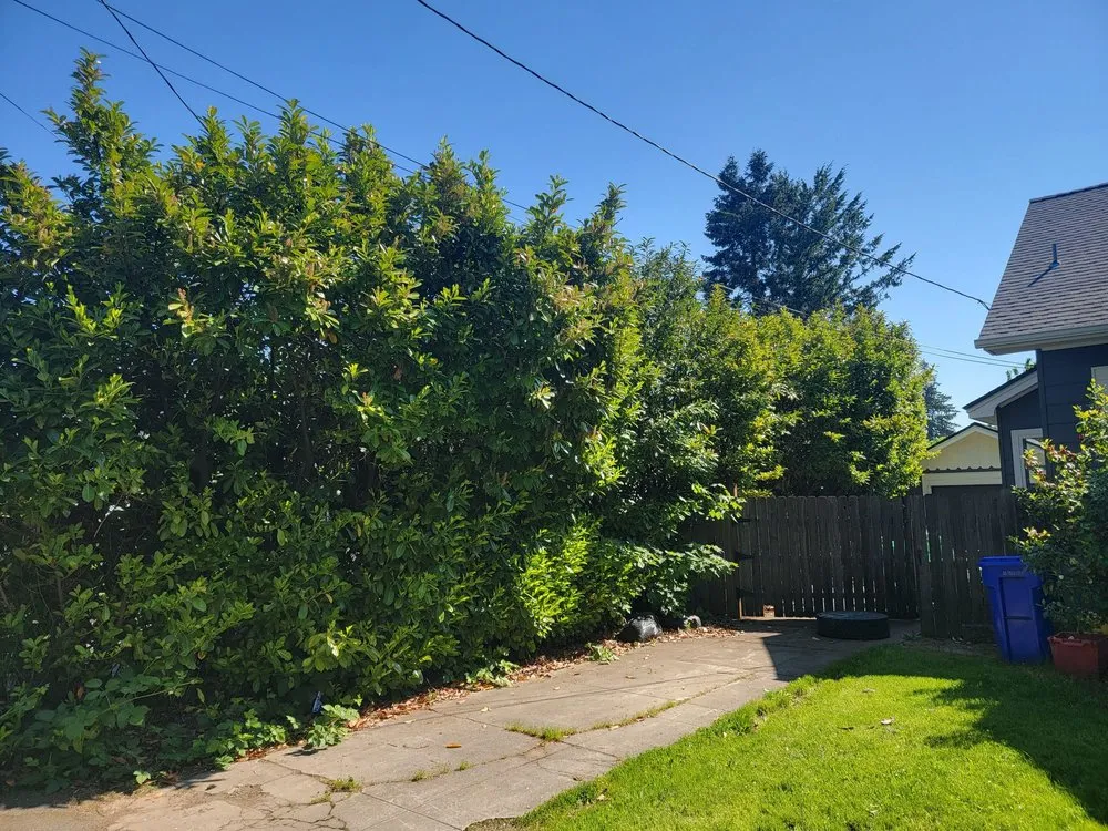 Local residential landscaping in Portland, OR by Norms Quality Mowing