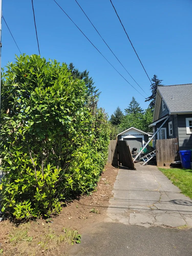 Expert garden landscaping experts serving Portland, OR - Norms Quality Mowing