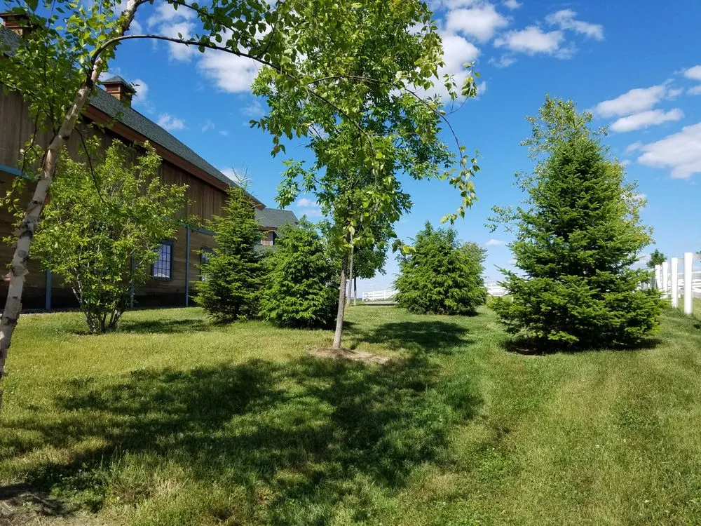 Affordable landscape design in Kingfield, ME by Norpine Landscape