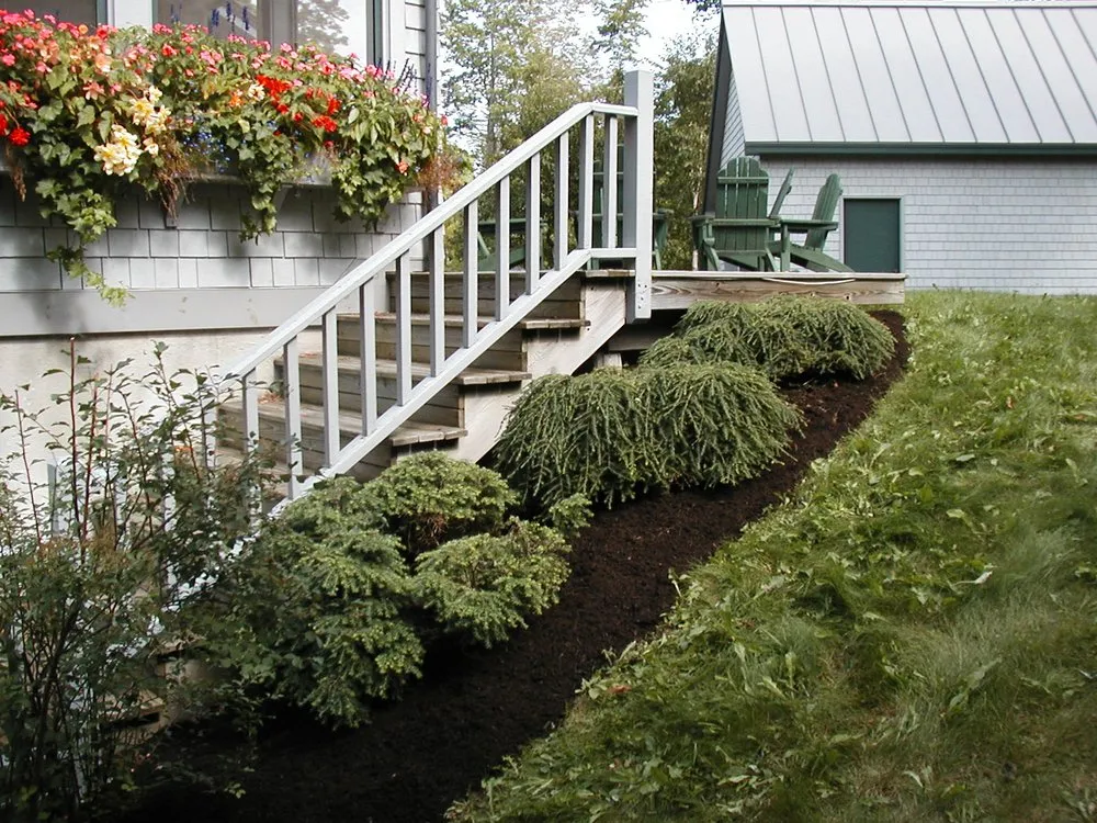 Reliable yard cleanup service in Kingfield, ME by Norpine Landscape