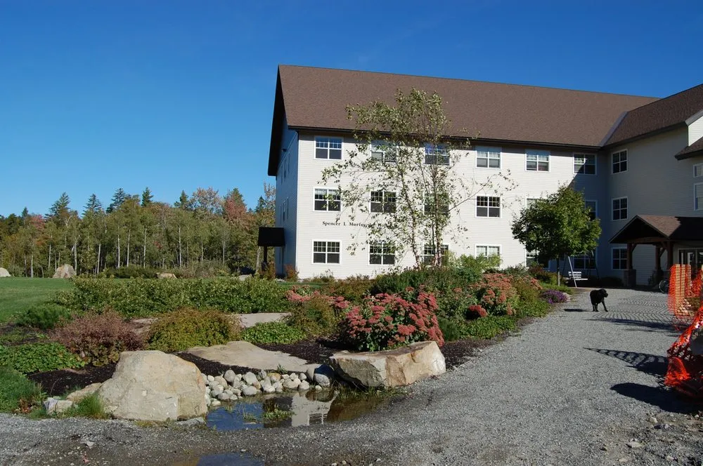 Professional yard cleanup service for outdoor upgrades in Kingfield, ME by Norpine Landscape