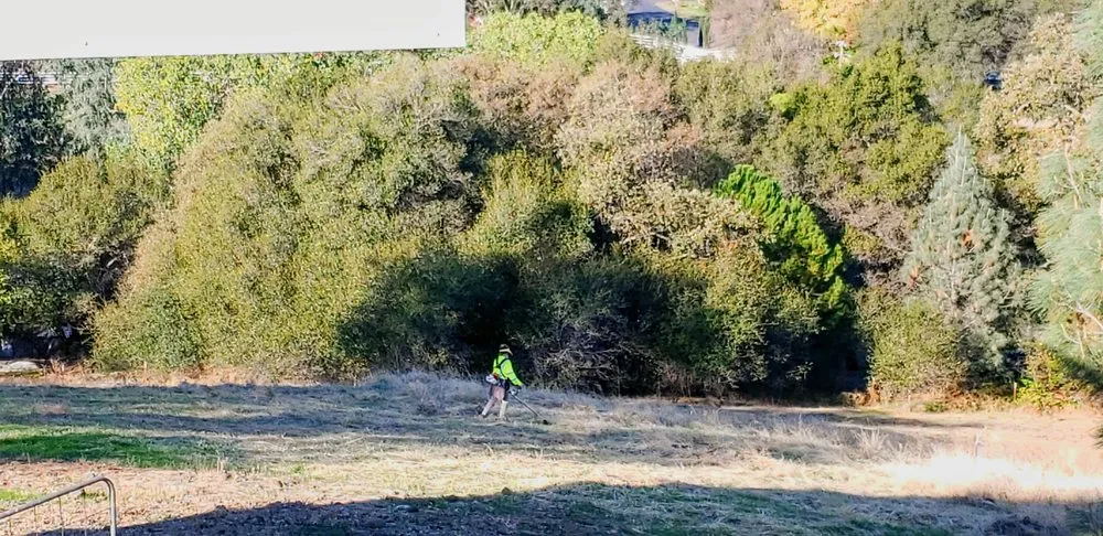 Top-rated outdoor landscaping experts serving Auburn, CA - Norrell Land Services