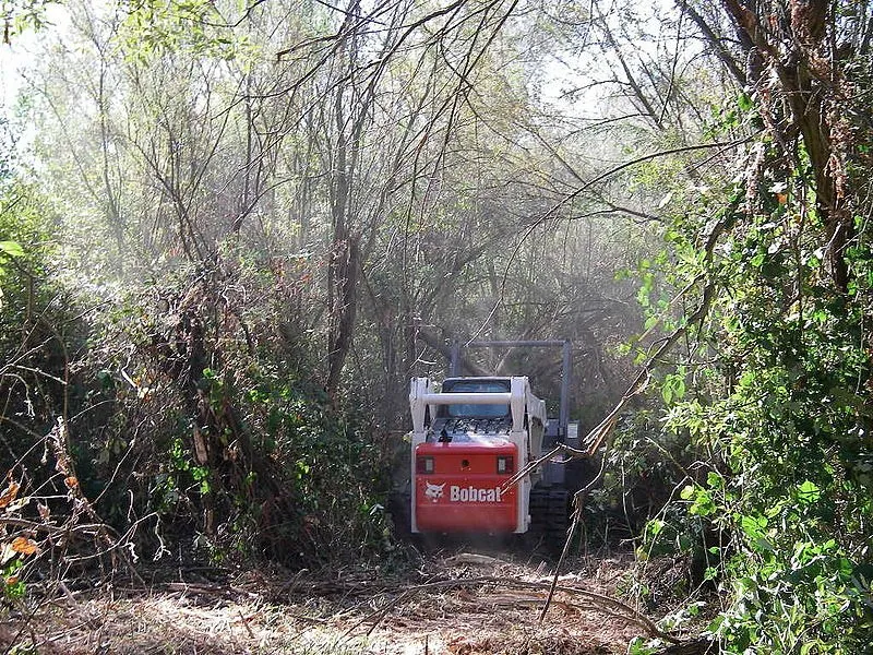 Trusted outdoor landscaping in Auburn, CA - Norrell Land Services
