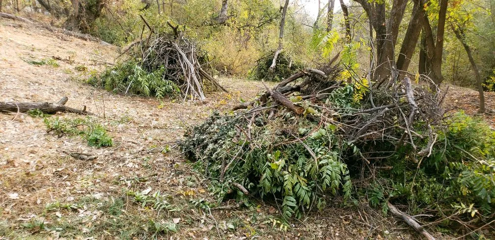 Custom garden landscaping near you in Auburn, CA by Norrell Land Services